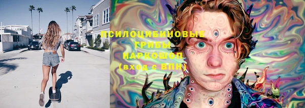 стафф Осинники
