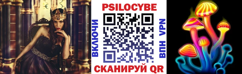 Галлюциногенные грибы Psilocybe Меленки